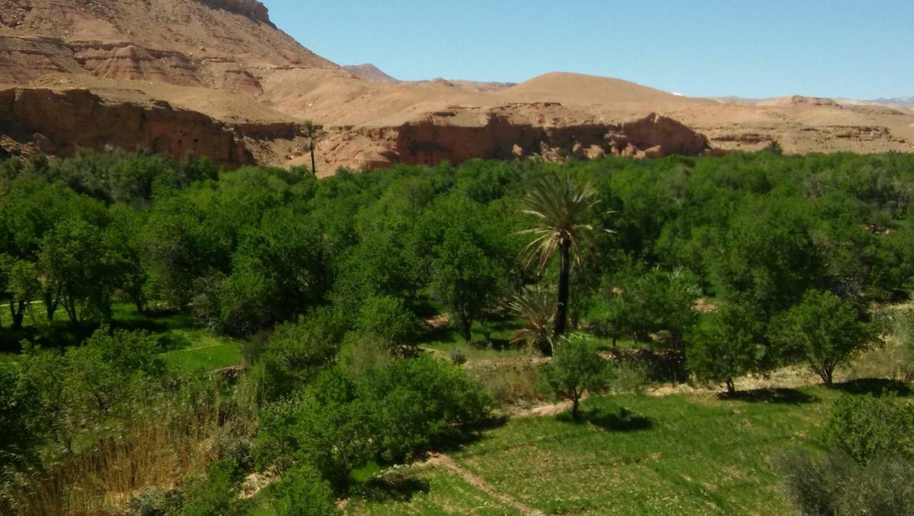 Riad Tigmi Du Soleil Айт-Бен-Хадду Экстерьер фото
